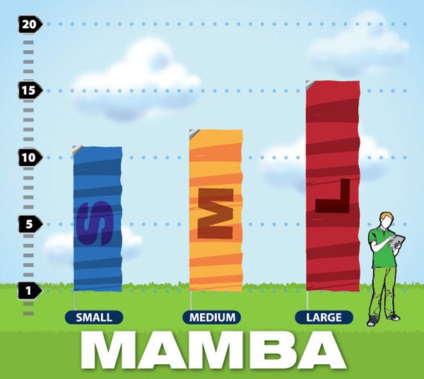 St. John's flags mamba style